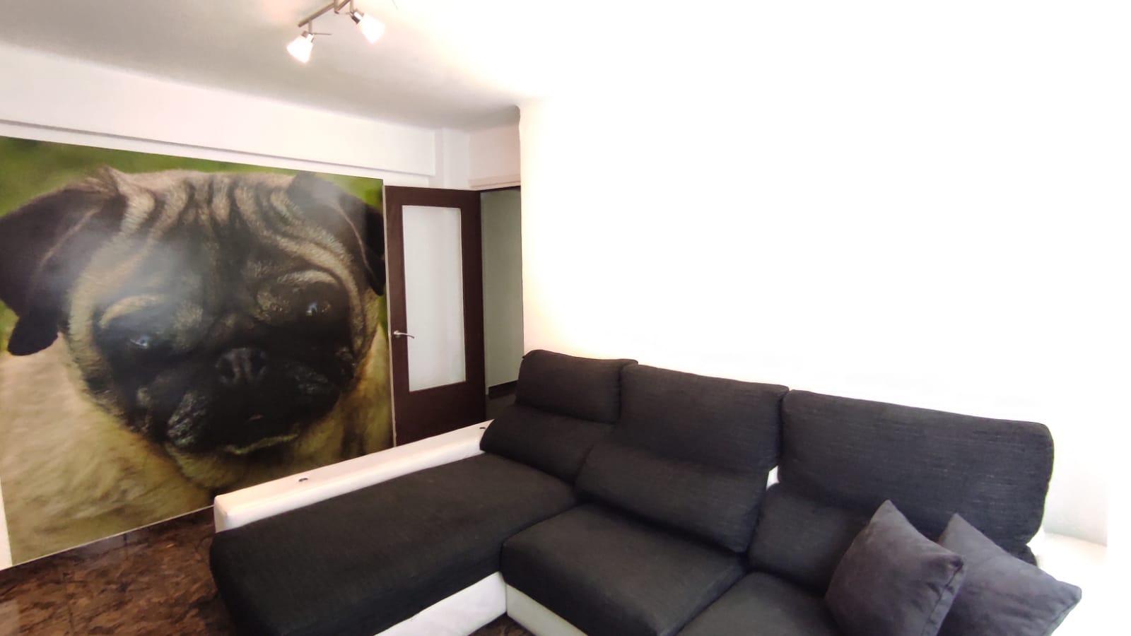 Imagen 15 Piso en venta en Ermua / Zona    Ongarai