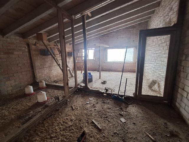 Imagen 33 Inmueble 269766 - Casa en venta en Lleida / Casa con parcela de 7.000 m2