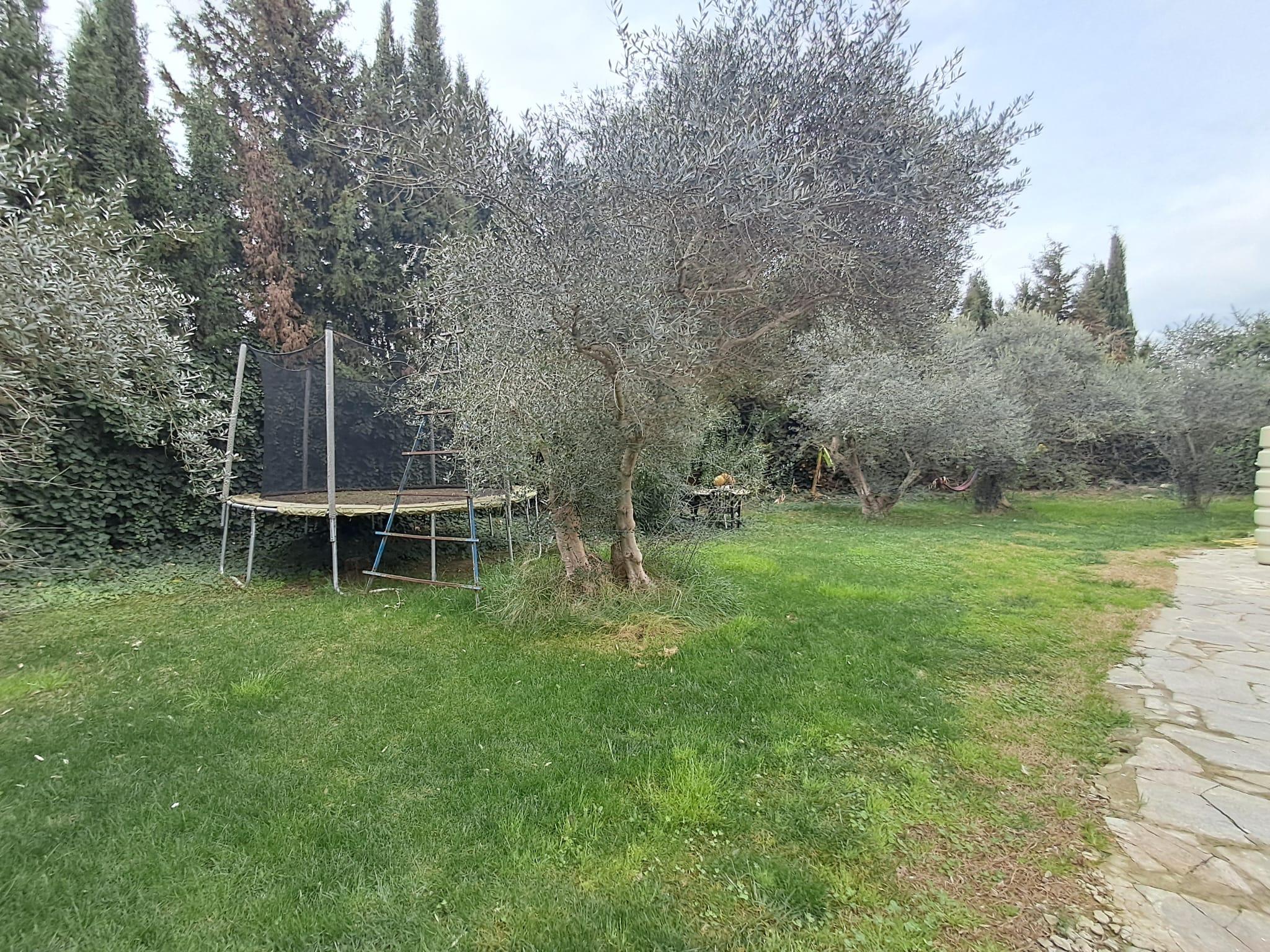 Imagen 2 Casa en venta en Lleida / Casa con parcela de 7.000 m2