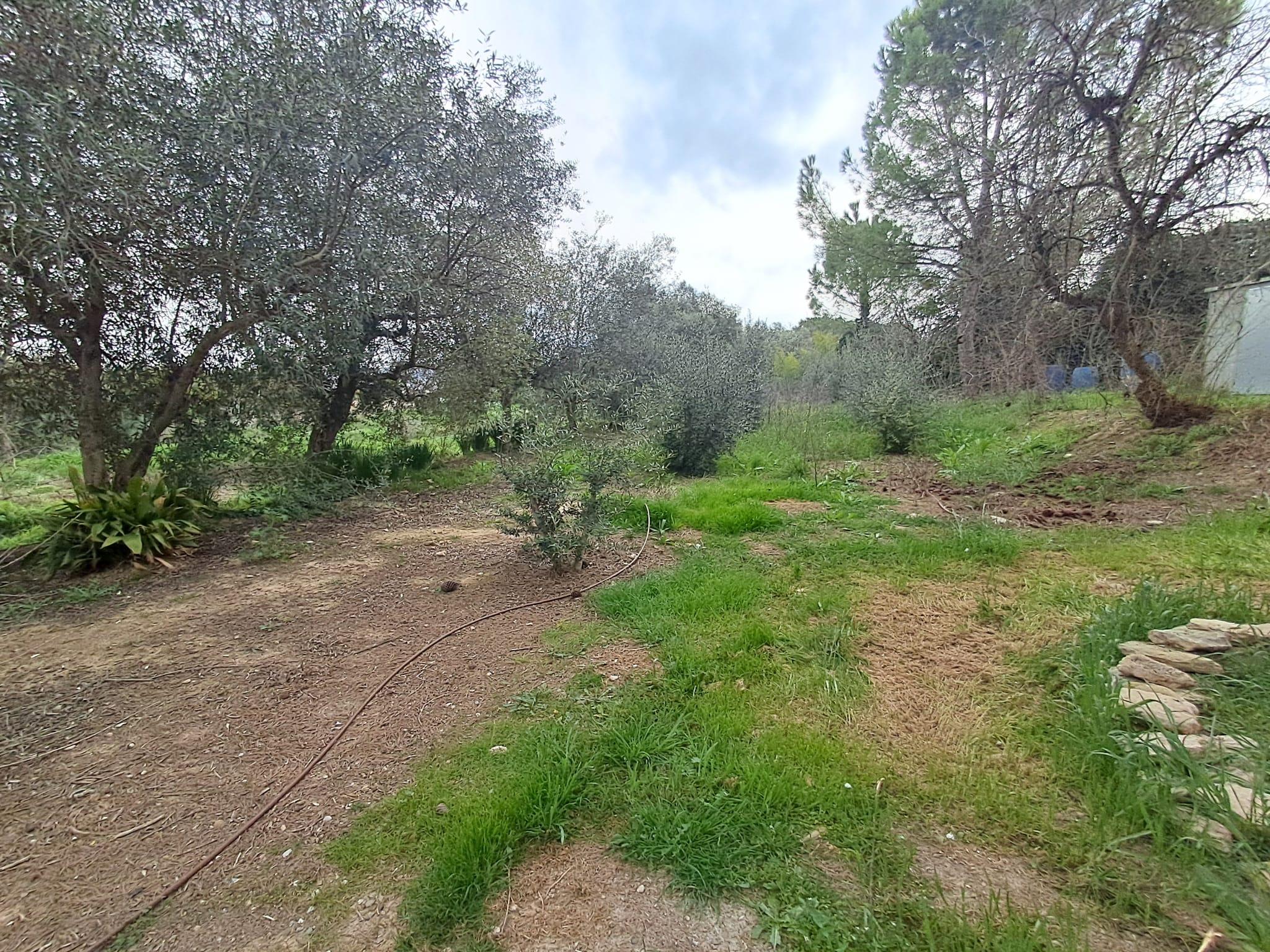 Imagen 21 Casa en venta en Lleida / Casa con parcela de 7.000 m2