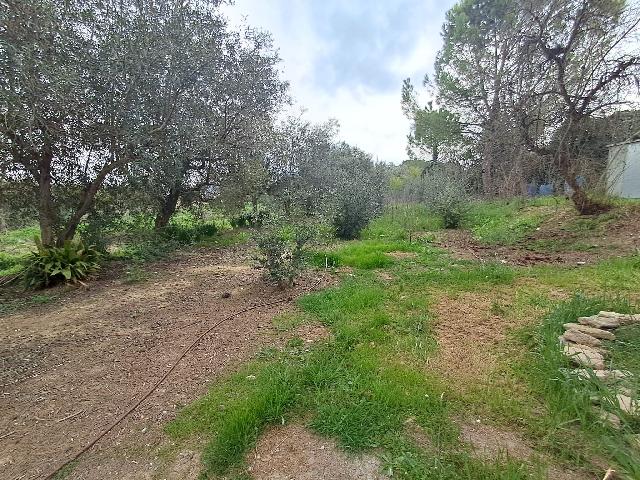 Imagen 21 Inmueble 269766 - Casa en venta en Lleida / Casa con parcela de 7.000 m2