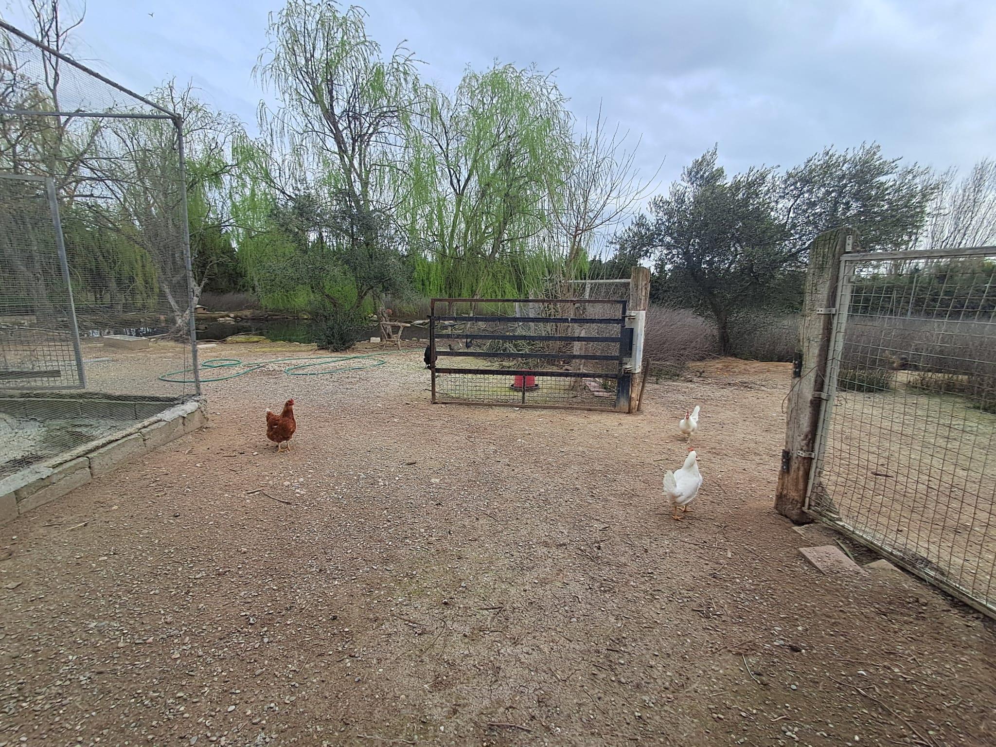 Imagen 22 Casa en venta en Lleida / Casa con parcela de 7.000 m2