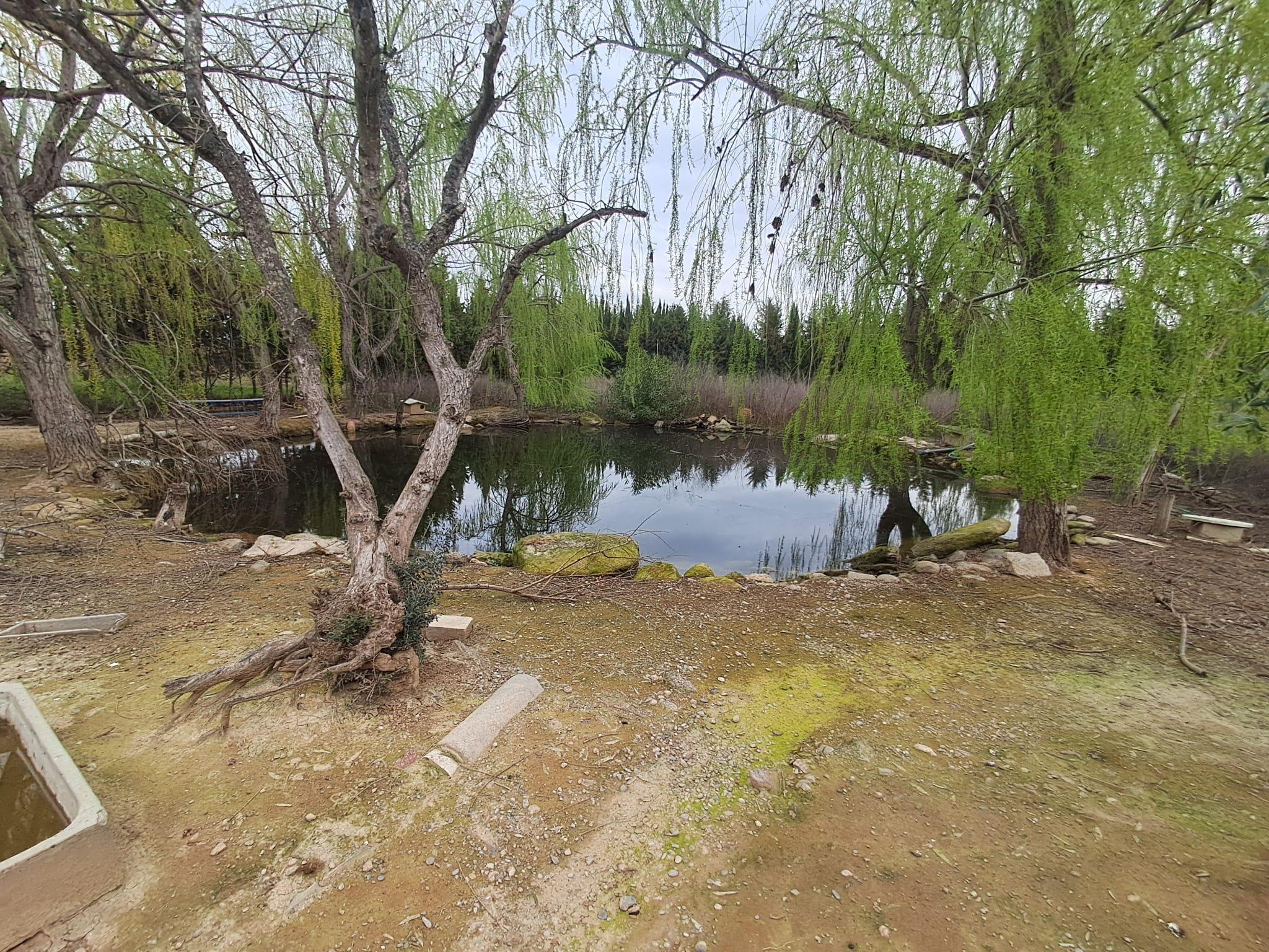 Imagen 25 Casa en venta en Lleida / Casa con parcela de 7.000 m2