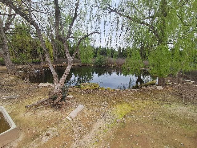 Imagen 25 Inmueble 269766 - Casa en venta en Lleida / Casa con parcela de 7.000 m2