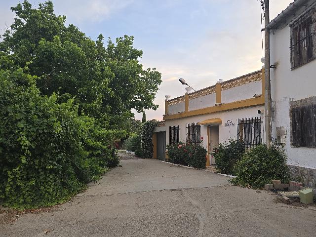 Imagen 20 Inmueble 303869 - Casa en venta en Alcarràs / Magnífica torre con patio y terreno rústico