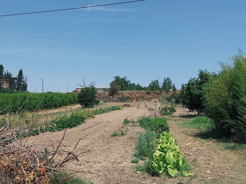 Imagen 10 Casa en venta en Alcarràs / Magnífica torre con patio y terreno rústico