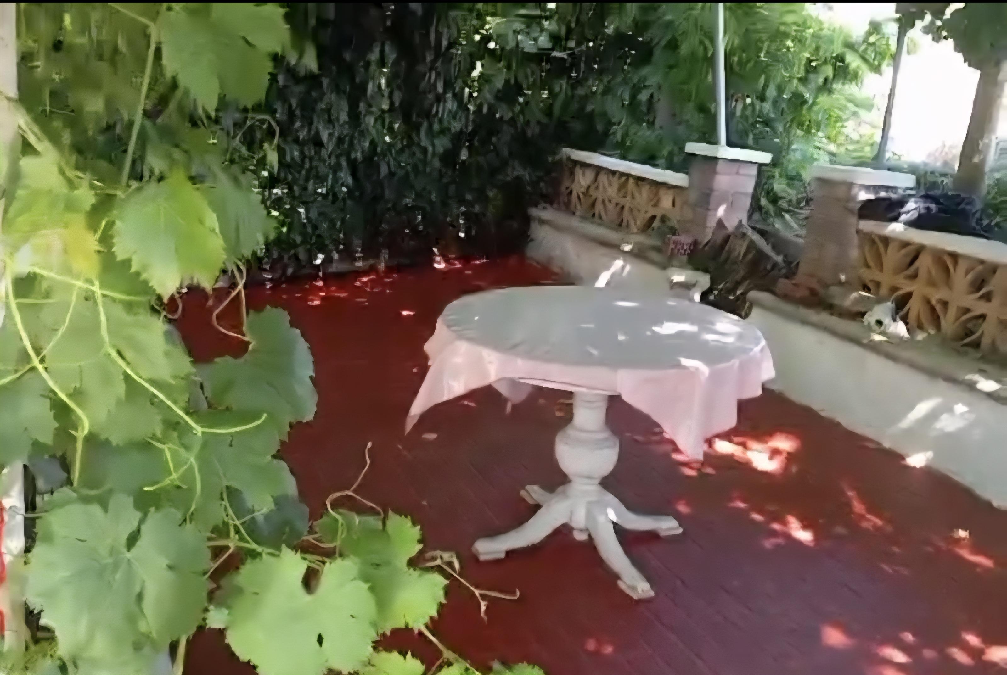 Imagen 5 Casa en venta en Alcarràs / Magnífica torre con patio y terreno rústico