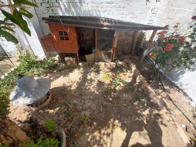 Imagen 18 Inmueble 303869 - Casa en venta en Alcarràs / Magnífica torre con patio y terreno rústico