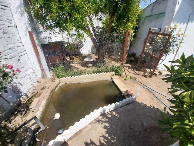 Imagen 19 Inmueble 303869 - Casa en venta en Alcarràs / Magnífica torre con patio y terreno rústico