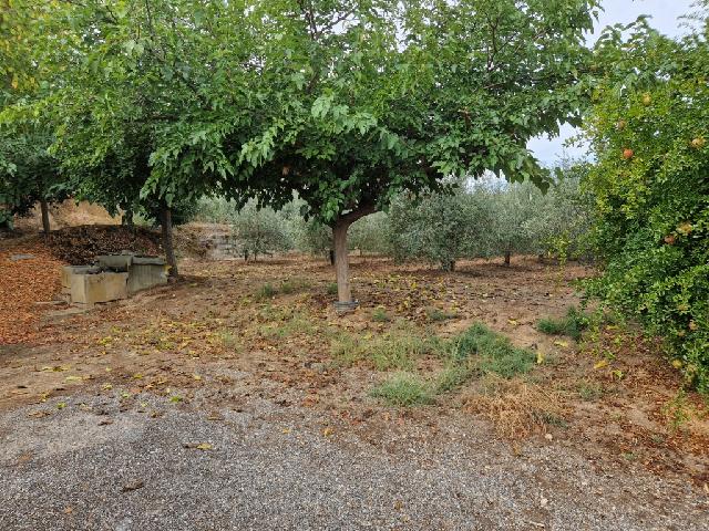 Imagen 7 Inmueble 306397 - Casa en venta en Lleida / Partides de Lleida