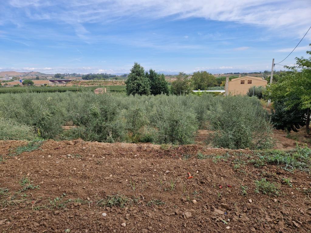 Imagen 13 Casa en venta en Lleida / Partides de Lleida