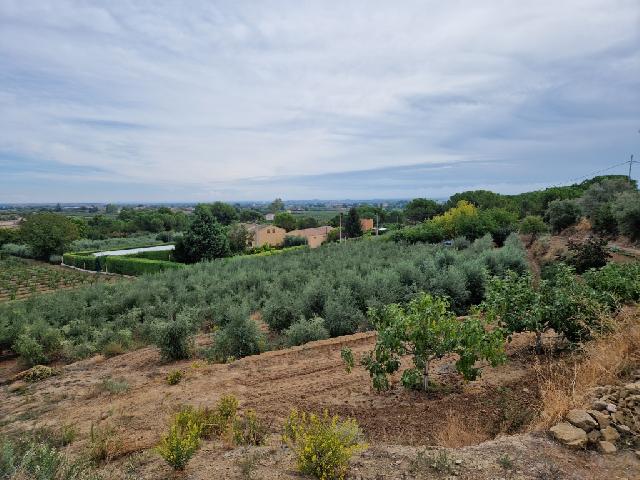 Imagen 1 Inmueble 306397 - Casa en venta en Lleida / Partides de Lleida
