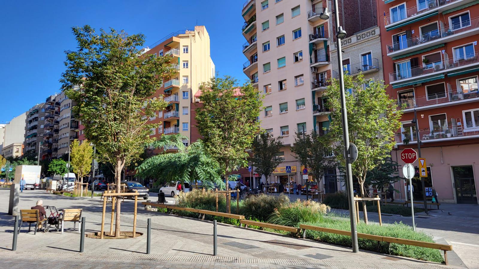 Imagen 12 Local Comercial en alquiler en Barcelona / Pi i Margall - Plaça Joanic