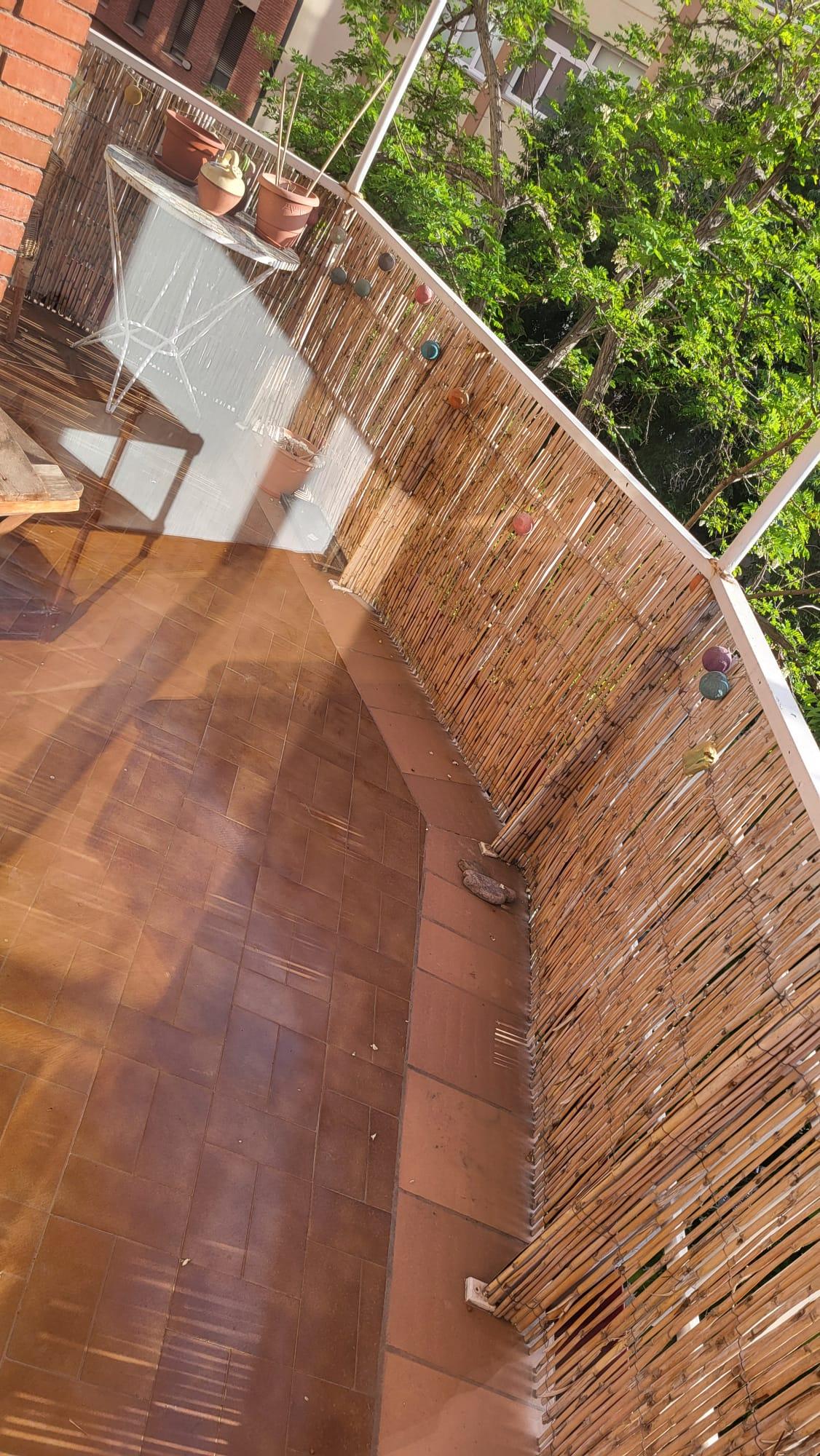 Imagen 23 Piso en venta en Barcelona / Napols - Camp d´ en Grassot