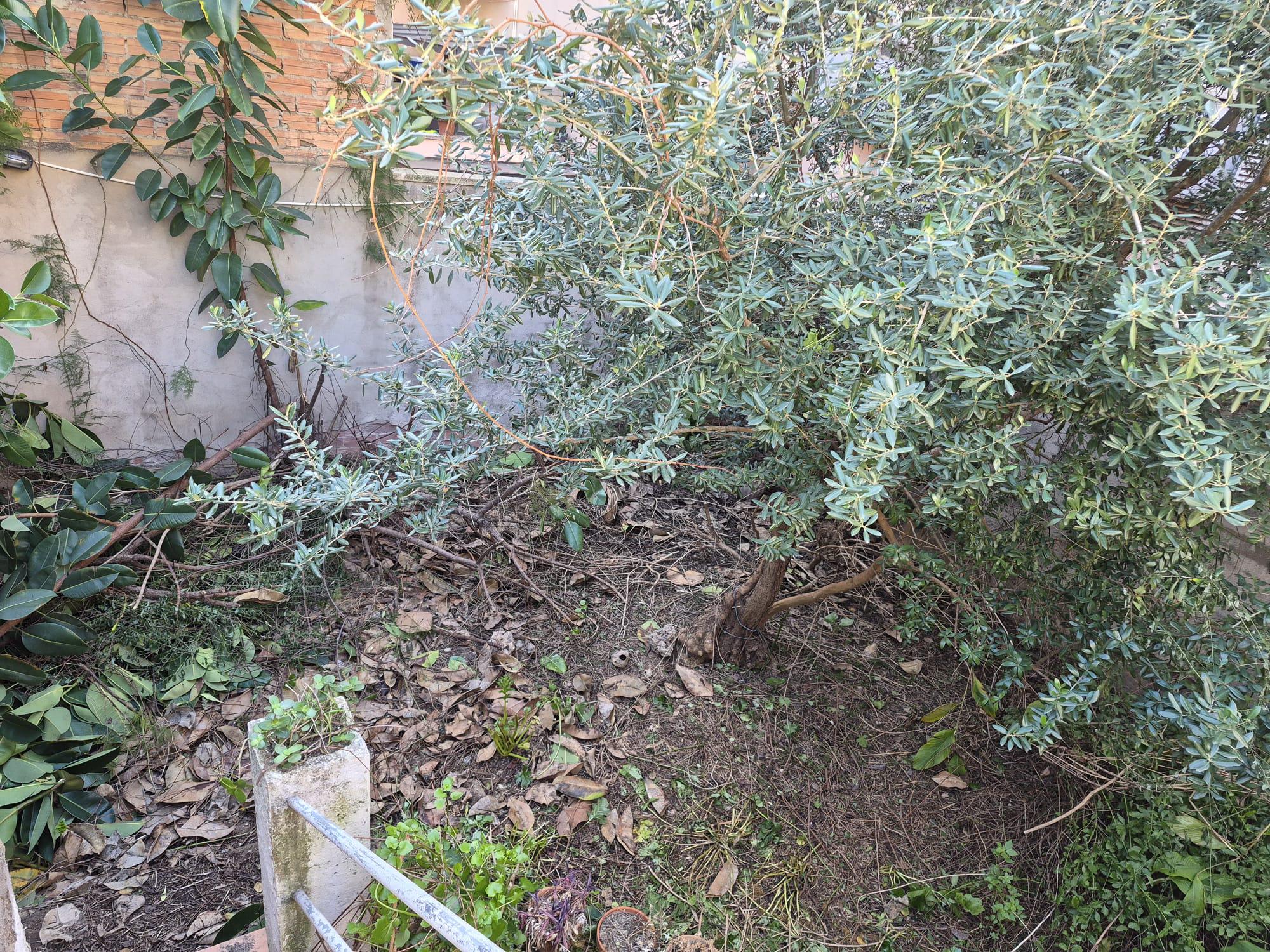 Imagen 23 Piso en venta en Hospitalet De Llobregat L´ / Hospitalet de Llobregat - Centro 