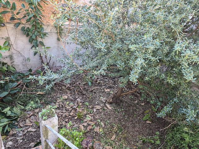 Imagen 23 Inmueble 300395 - Piso en venta en Hospitalet De Llobregat (L´) / Hospitalet de Llobregat - Centro 