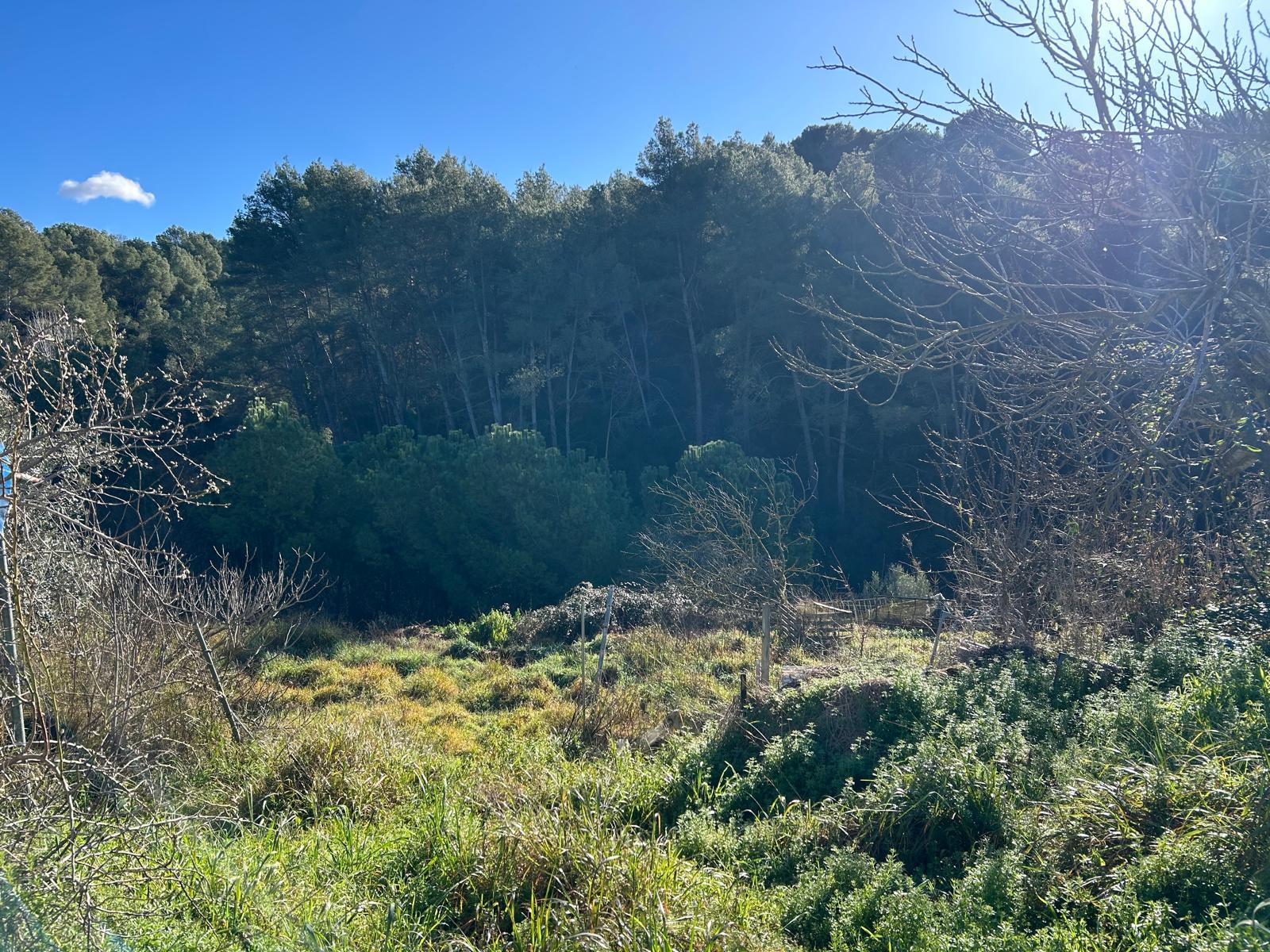 Imagen 5 Solar Rústico en venta en Piera / Piera pueblo, zona rústica