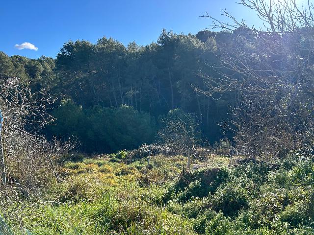 Imagen 5 Inmueble 267565 - Solar Rústico en venta en Piera / Piera pueblo, zona rústica
