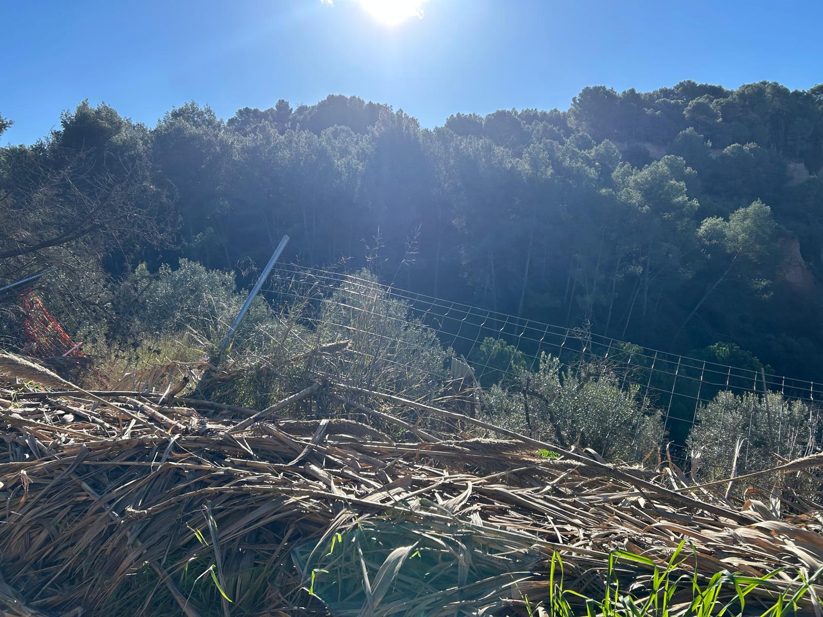 Imagen 2 Solar Rústico en venta en Piera / Piera pueblo, zona rústica