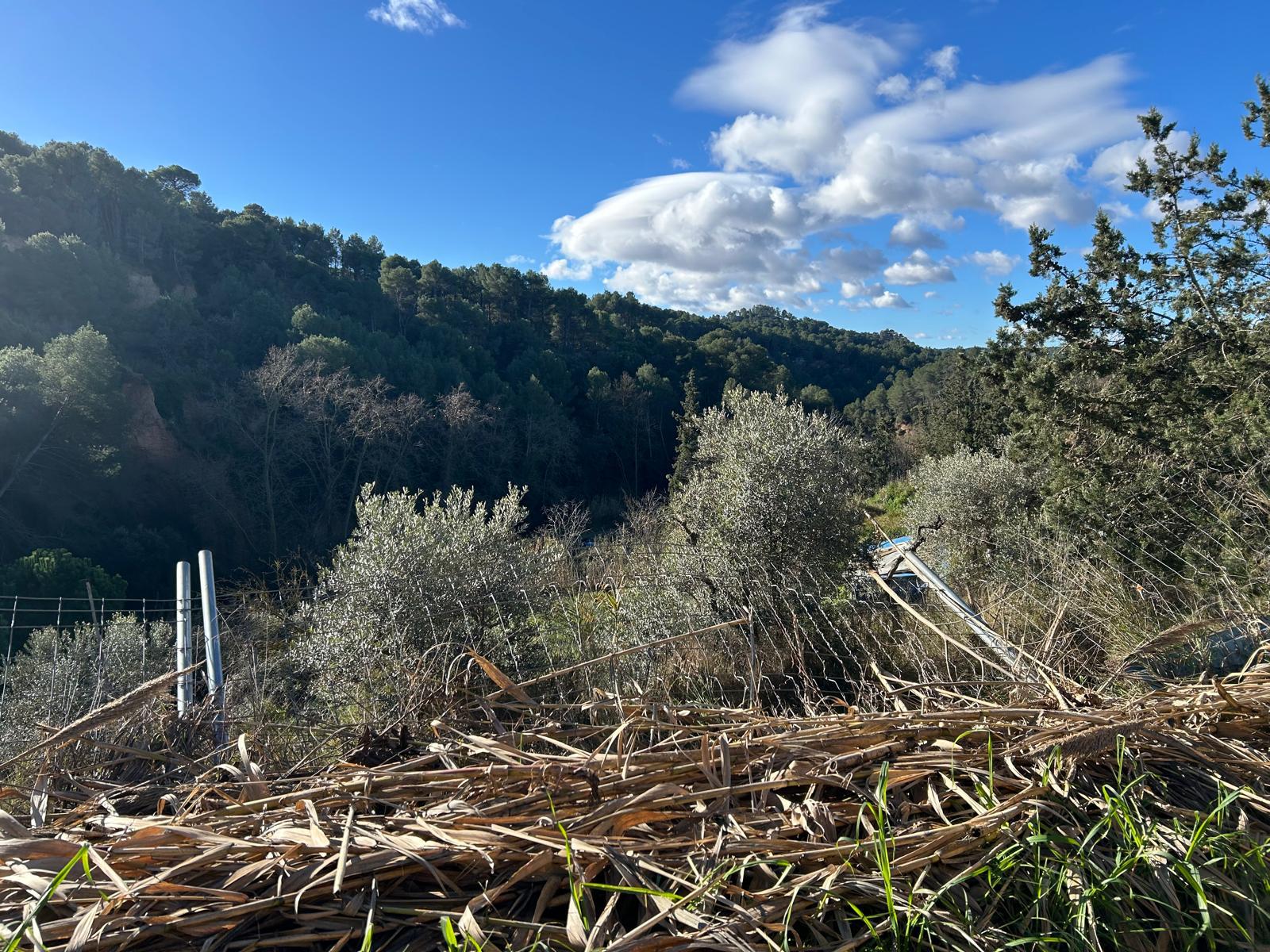 Imagen 6 Solar Rústico en venta en Piera / Piera pueblo, zona rústica