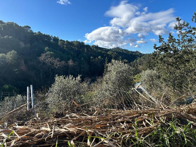 Imagen 6 Inmueble 267565 - Solar Rústico en venta en Piera / Piera pueblo, zona rústica