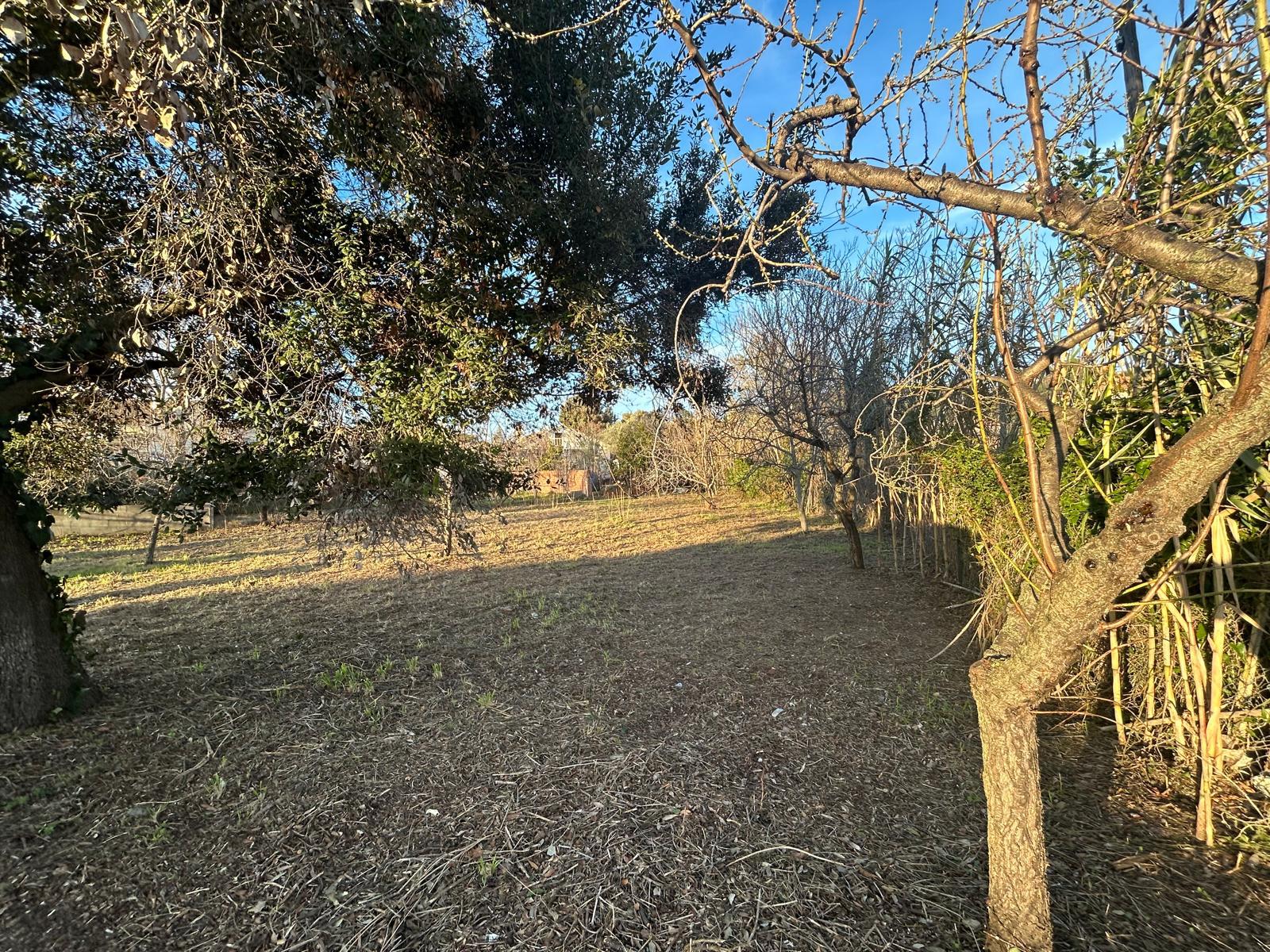 Imagen 7 Solar Urbano en venta en Piera / Urbanización Can Martí