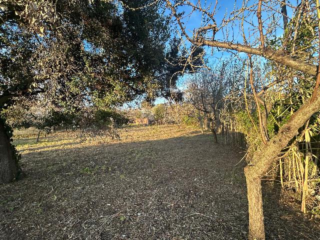 Imagen 7 Inmueble 299843 - Solar Urbano en venta en Piera / Urbanización Can Martí