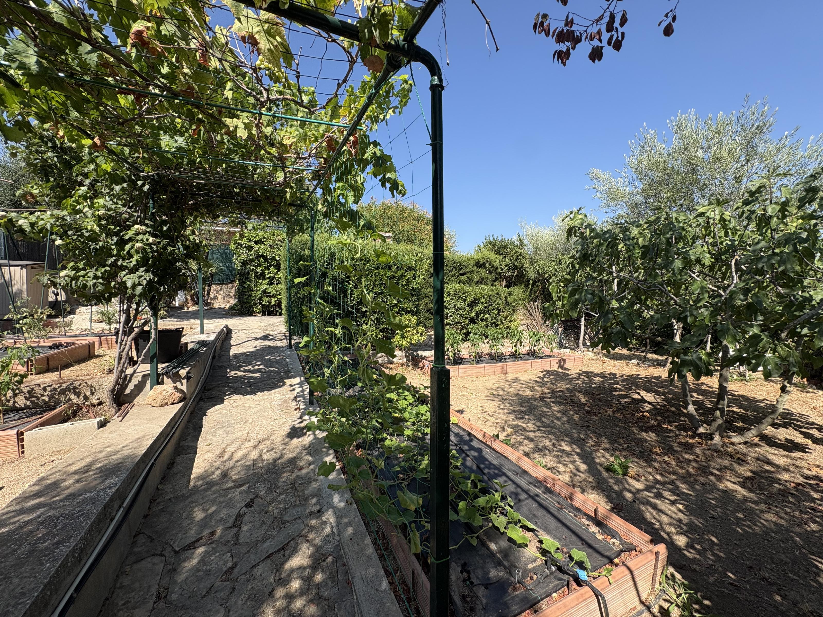 Imagen 19 Casa Aislada en venta en Cabrera D´anoia / Castell de Cabrera 