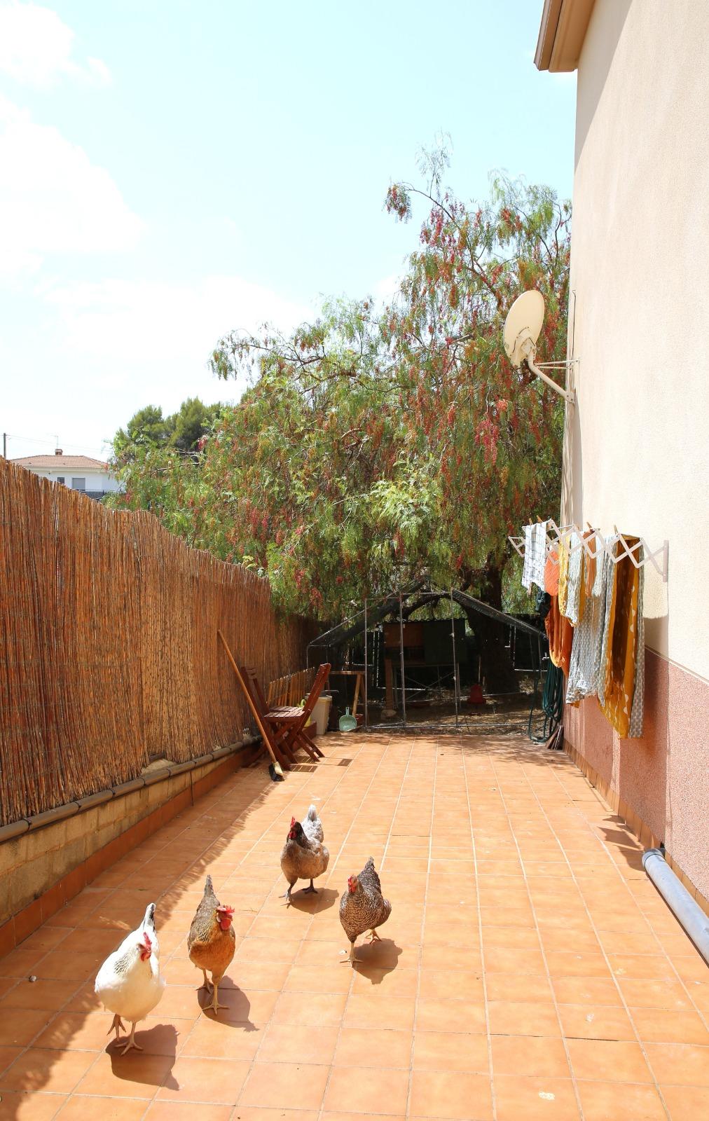 Imagen 24 Casa Aislada en venta en Hostalets De Pierola Els / Serra Alta. Hostalets de Pierola