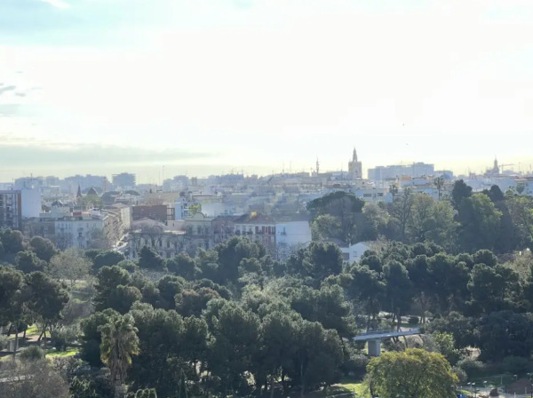 Imagen 17 Inmueble 300175 - Piso en venta en Valencia /  Ubicación privilegiada en Campanar 