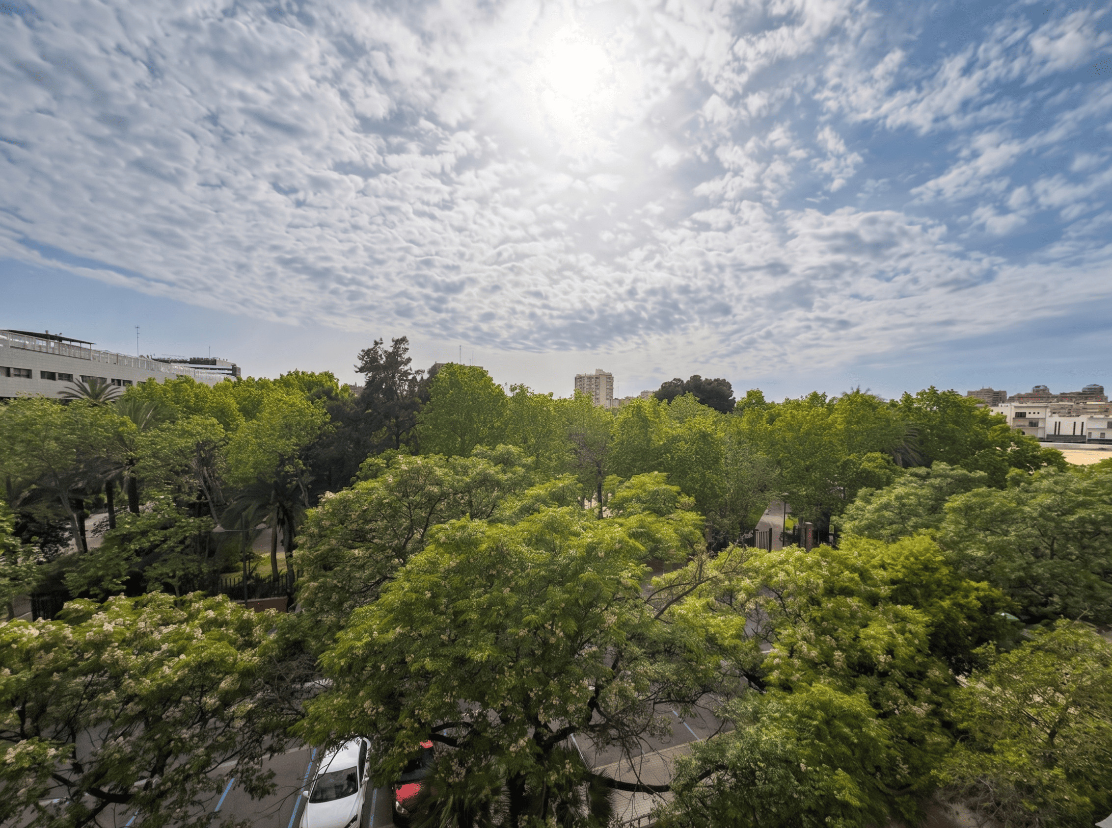 Imagen 11 Piso en venta en Valencia / Junto a los Jardines del Cauce y Nuevo Centro