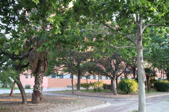 Imagen 22 Inmueble 303128 - Piso en venta en Valencia / Junto a la Ronda Norte 