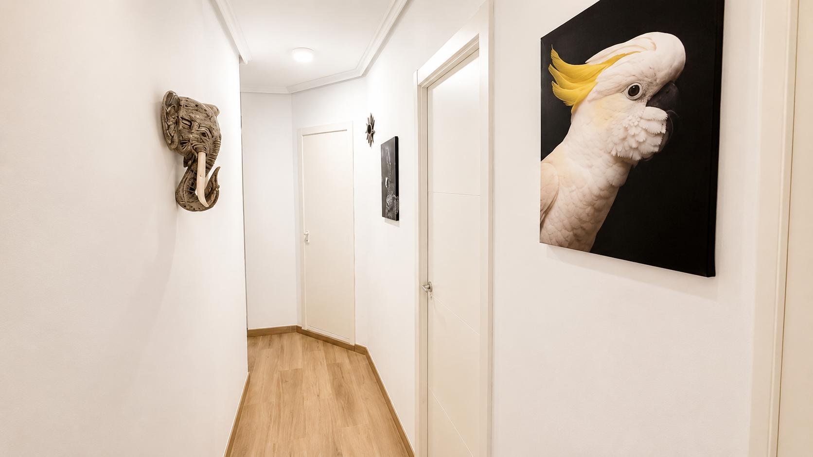 Imagen 26 Piso en venta en Valencia / Próxima al Mercado de Jesús