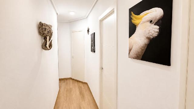 Imagen 26 Inmueble 304611 - Piso en venta en Valencia / Próxima al Mercado de Jesús