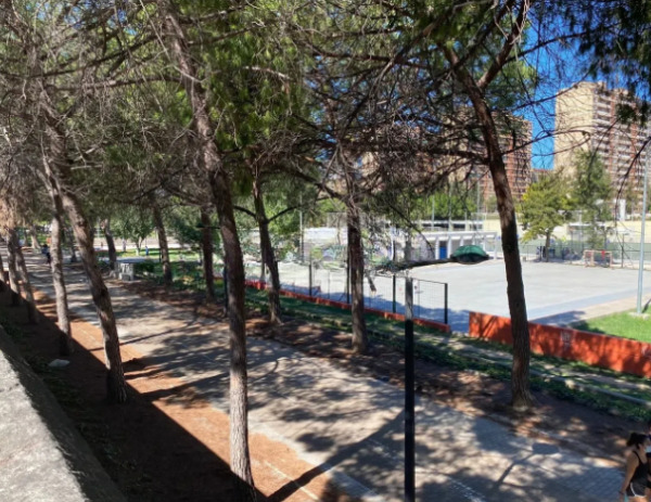 Imagen 16 Inmueble 304769 - Piso en venta en Valencia / Próxima al Jardín del Turia