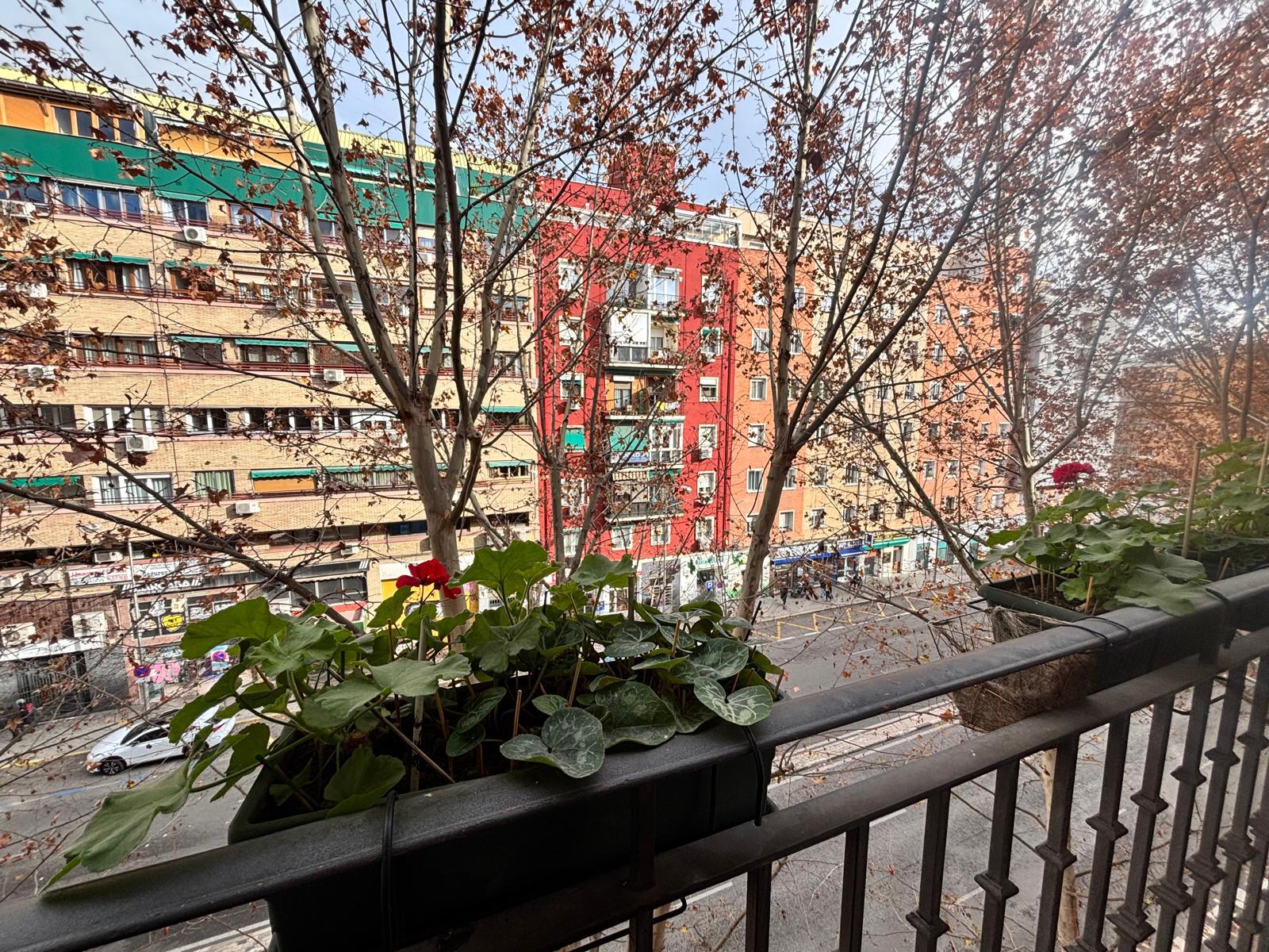 Imagen 15 Piso en venta en Madrid / Próximo al Matadero de Madrid y Madrid Rio 