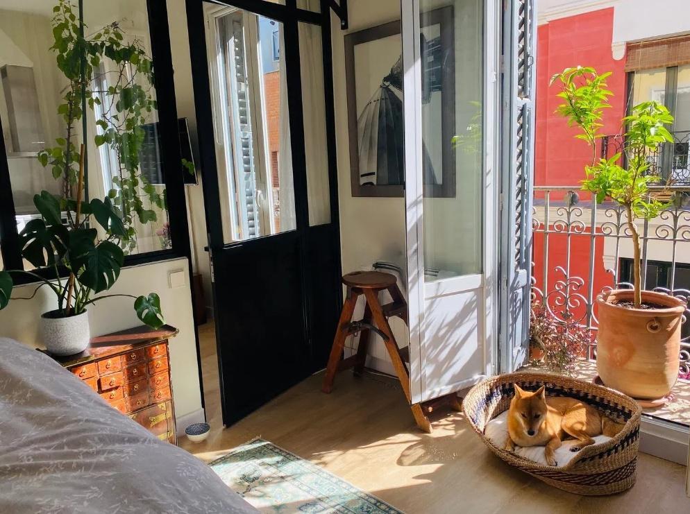 Imagen 4 Piso en venta en Madrid / Calle de Loreto y Chicote