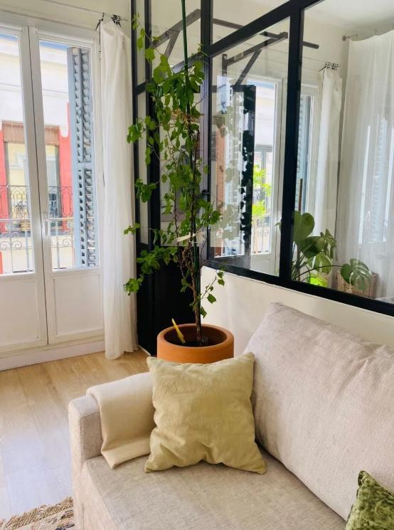 Imagen 6 Piso en venta en Madrid / Calle de Loreto y Chicote