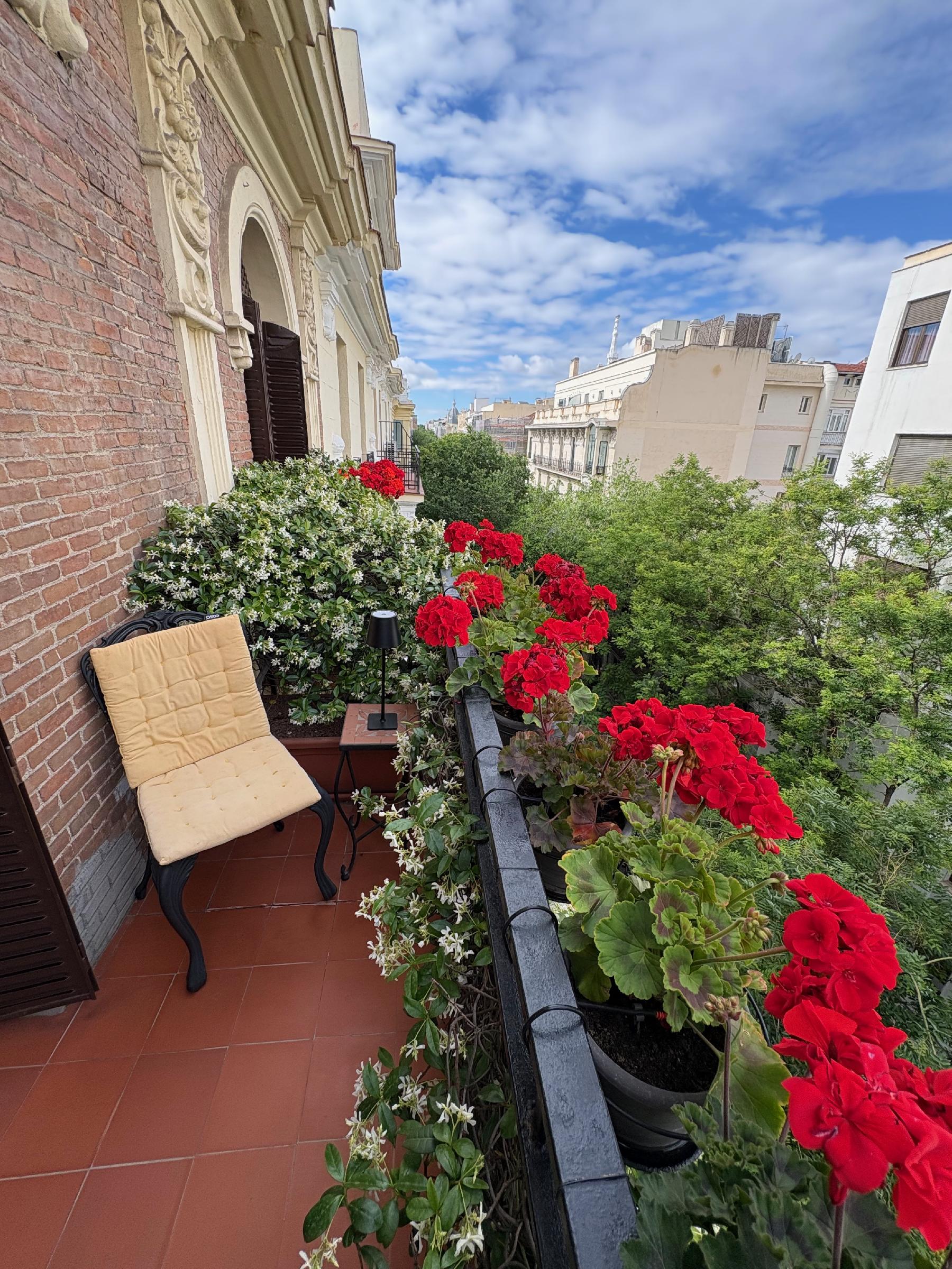 Imagen 24 Piso en venta en Madrid / Recoletos Calle Castello al lado del colegio del Pilar