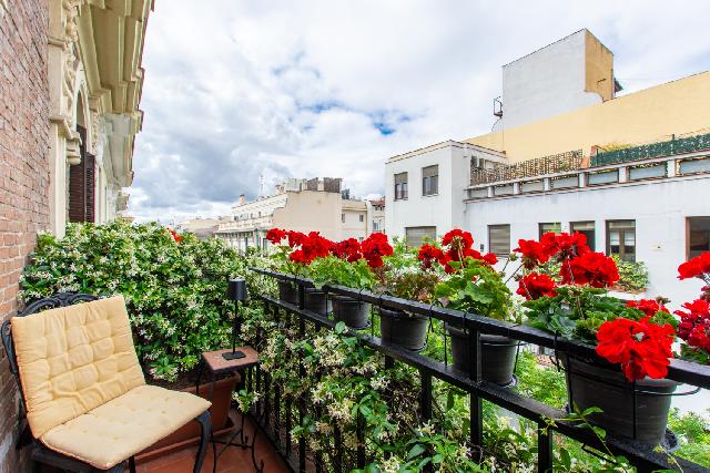 Imagen 25 Inmueble 302686 - Piso en venta en Madrid / Recoletos Calle Castello al lado del colegio del Pilar