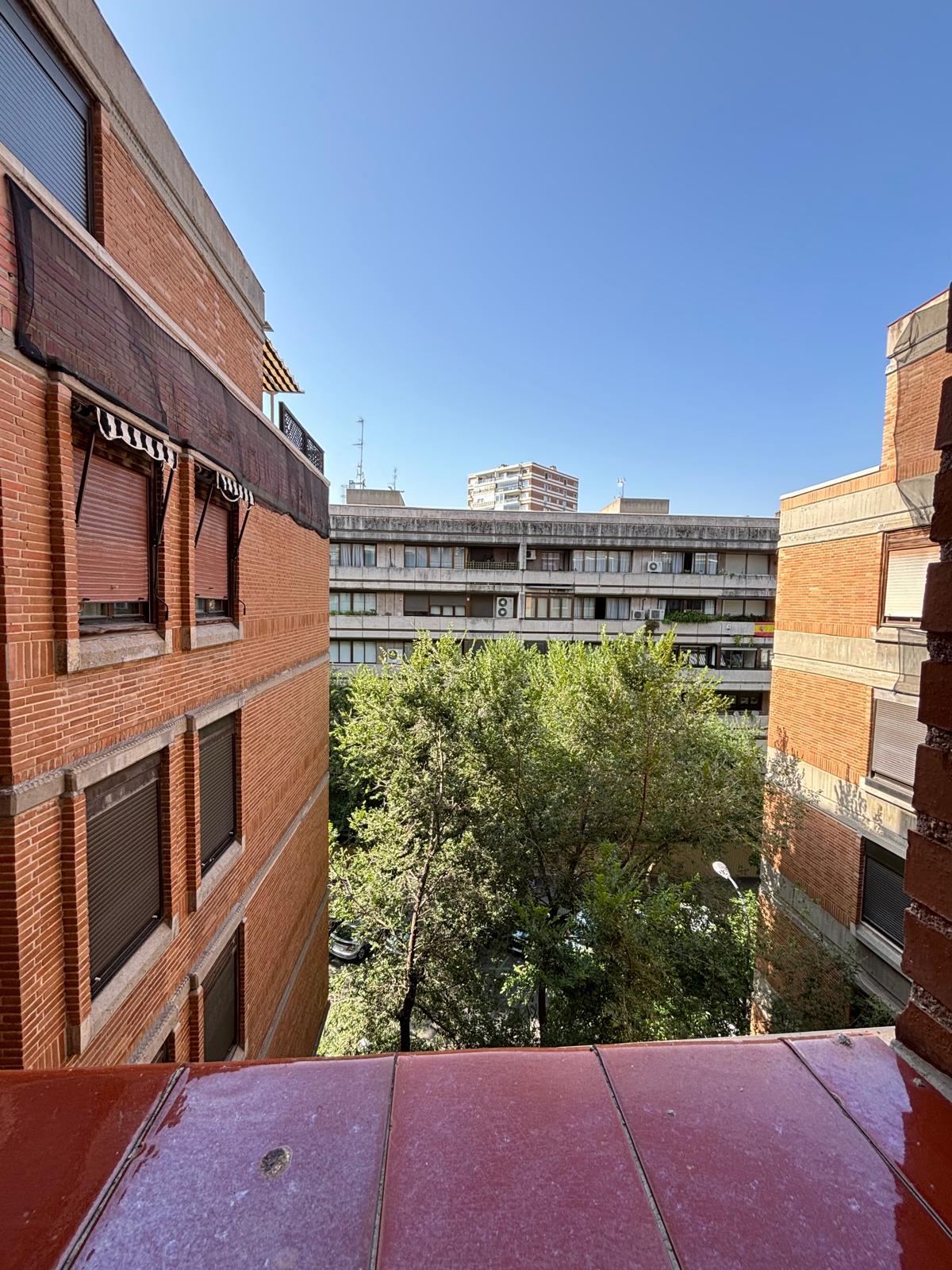 Imagen 19 Piso en alquiler en Madrid / Calle Maestro Ángel Llorca 