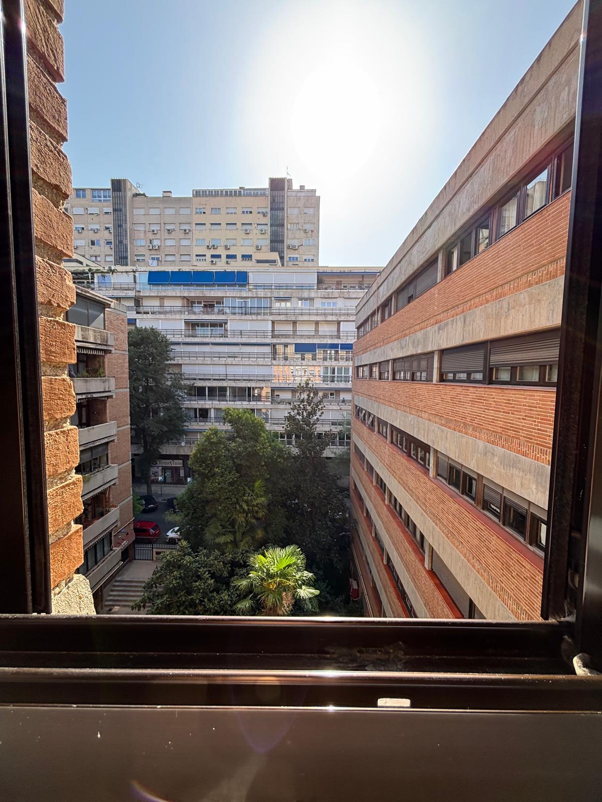 Imagen 22 Piso en alquiler en Madrid / Calle Maestro Ángel Llorca 