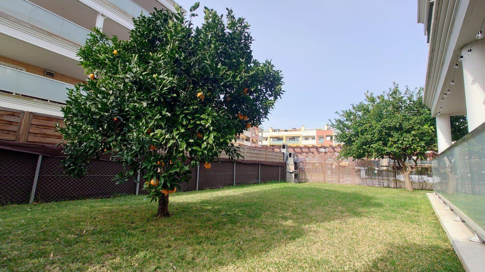 Imagen 17 Planta Baja en venta en Cunit / Rambla del Prat de Cunit