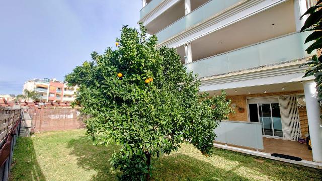 Imagen 19 Inmueble 298485 - Planta Baja en venta en Cunit / Rambla del Prat de Cunit