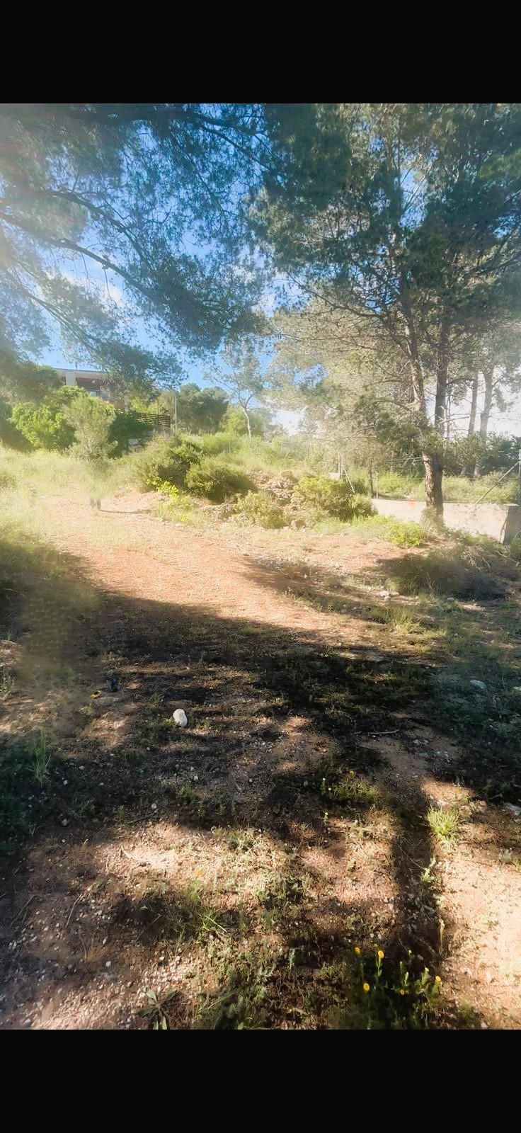 Imagen 3 Solar Urbano en venta en Canyelles / Urbanización Les Palmeres