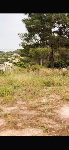 Imagen 4 Inmueble 303219 - Solar Urbano en venta en Canyelles / Urbanización Les Palmeres