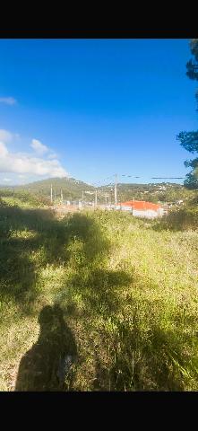 Imagen 7 Inmueble 303219 - Solar Urbano en venta en Canyelles / Urbanización Les Palmeres