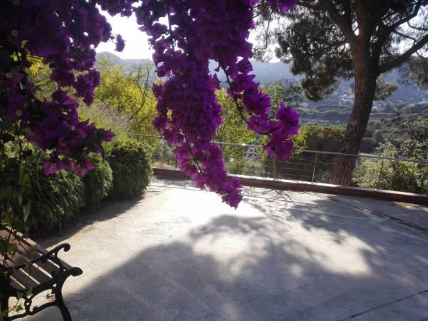 Imagen 2 Inmueble 297174 - Casa Aislada en venta en Alella / Magnifico Hotel en Alella 