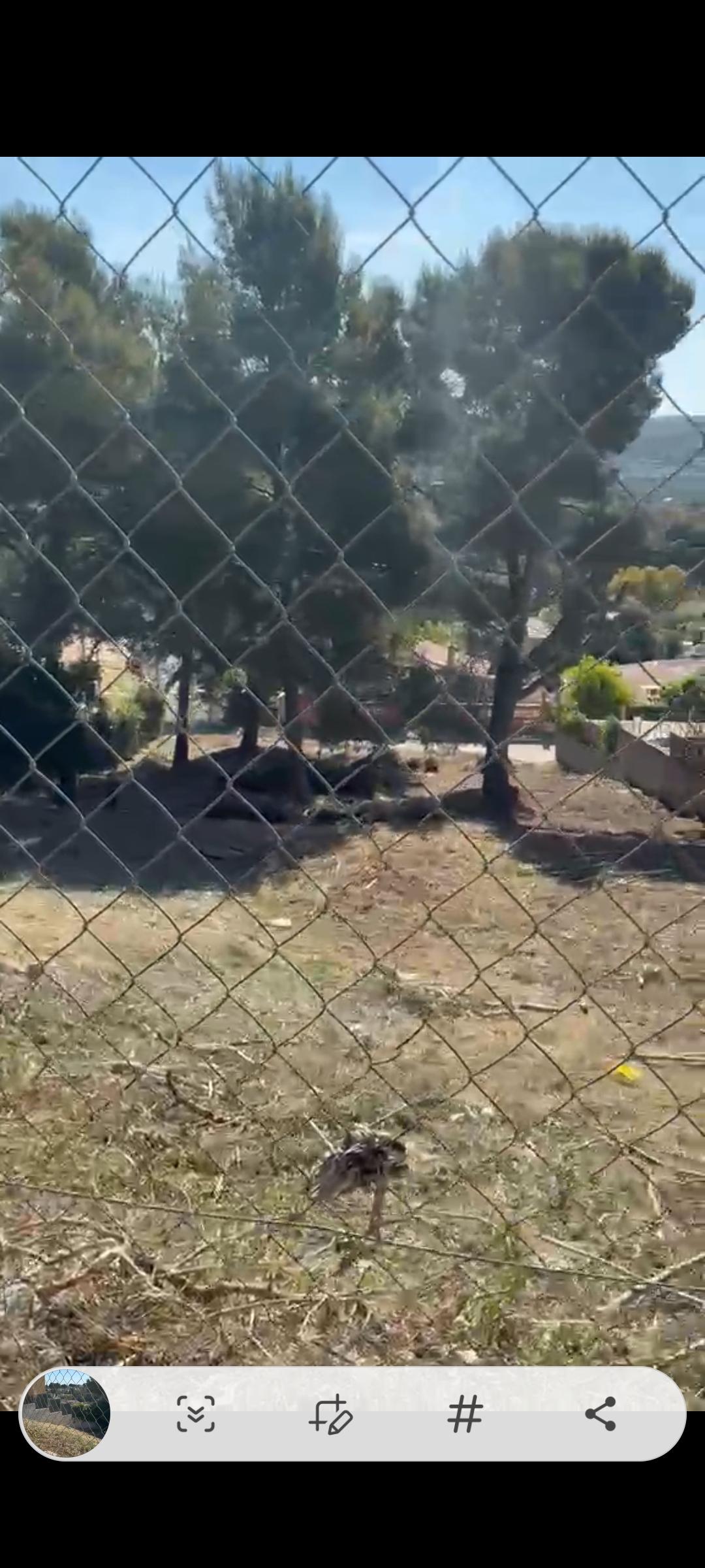 Imagen 3 Solar Urbano en venta en Bellvei / Bellvei cerca centre civic La Muga