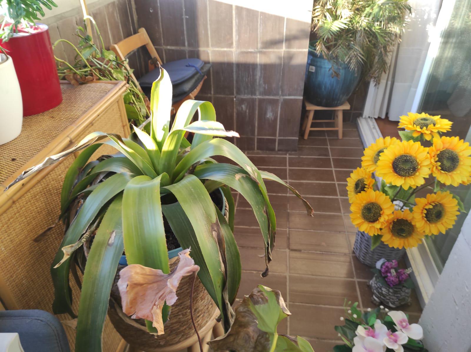 Imagen 10 Piso en venta en Esplugues De Llobregat / Pont D´Esplugues , parada trambaix